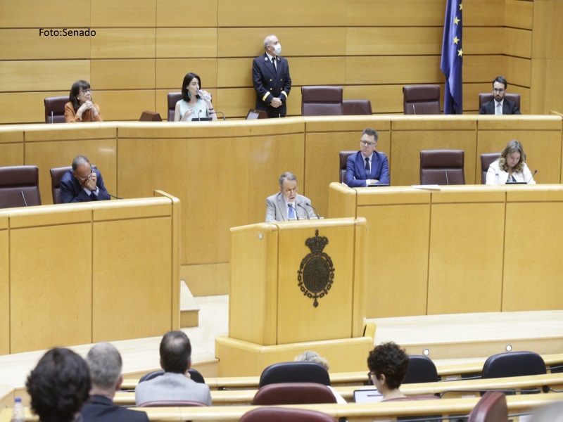 El Defensor del Pueblo (e.f.), Francisco Fernández Marugán, interviene en el Pleno del Senado