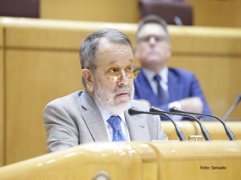 El Defensor del Pueblo (e.f.), Francisco Fernández Marugán, interviene en el Pleno del Senado