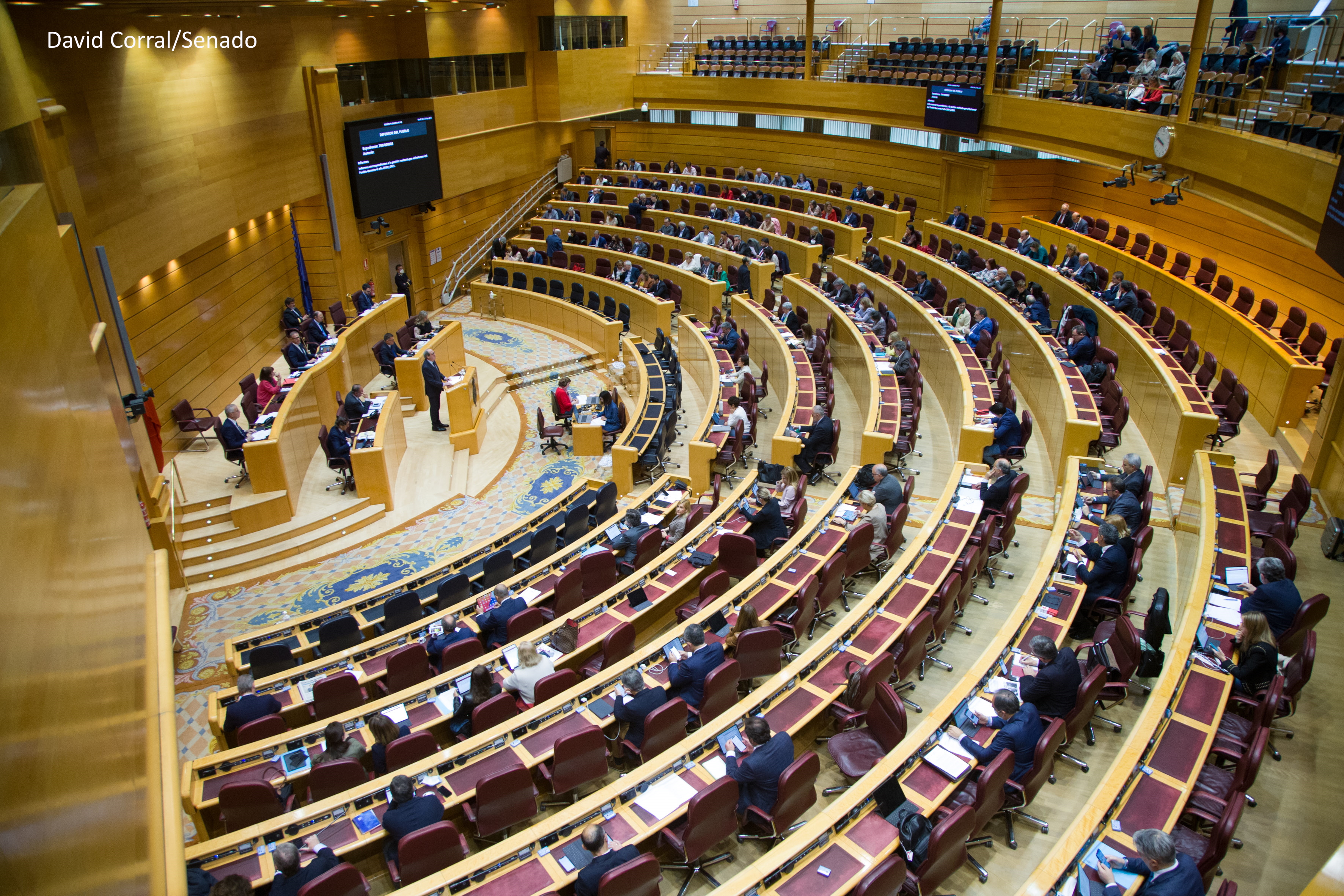 Pleno del senado durante la intervención del Defensor del Pueblo