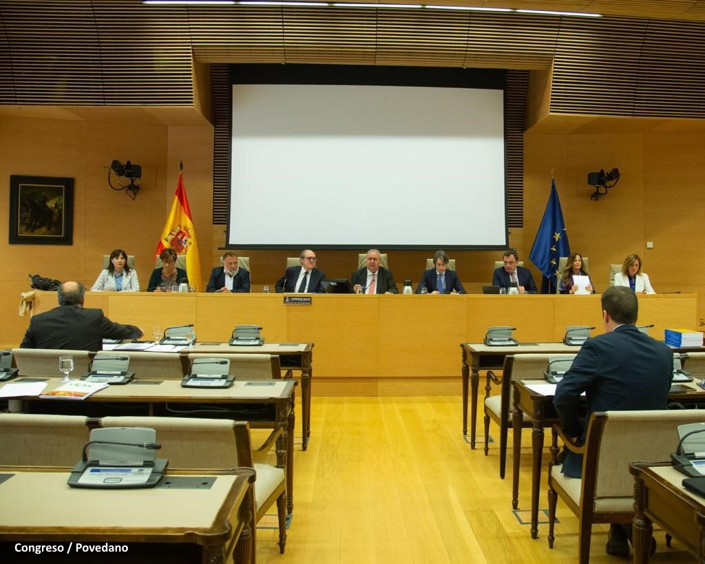 Foto de la estancia de la Comisión Mixta, con el Defensor y las adjuntas sentados