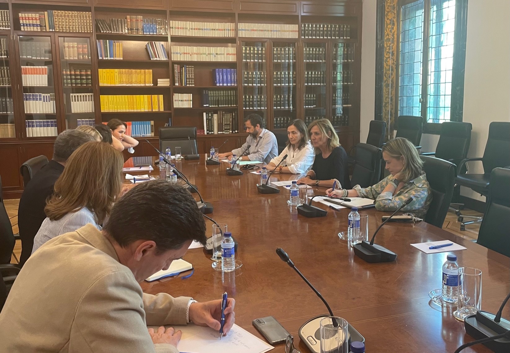 Reunión de la adjunta segunda, Patricia Bárcena con una delegación del Gobierno de Georgia