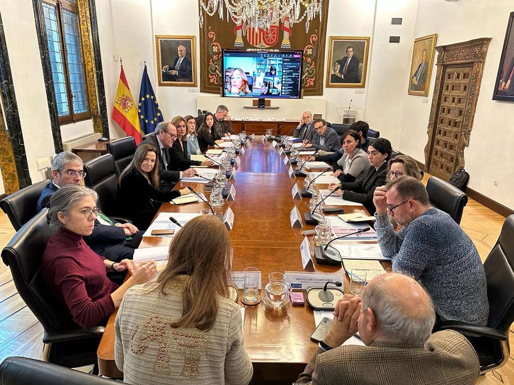 Reunión de la Comisión Asesora para elaborar un informe sobre los abusos sexuales en el ámbito de la Iglesia católica y el papel de los poderes públicos