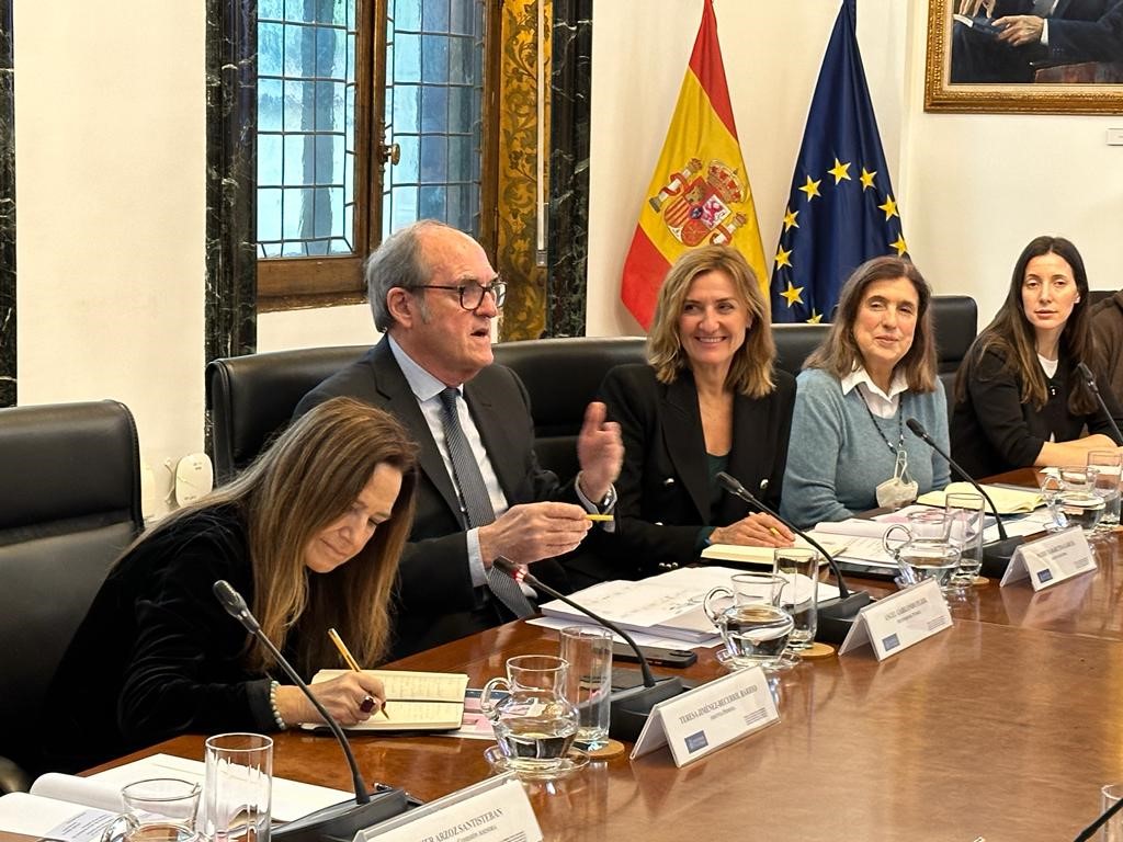 Reunión de la Comisión Asesora para elaborar un informe sobre los abusos sexuales en el ámbito de la Iglesia católica y el papel de los poderes públicos.