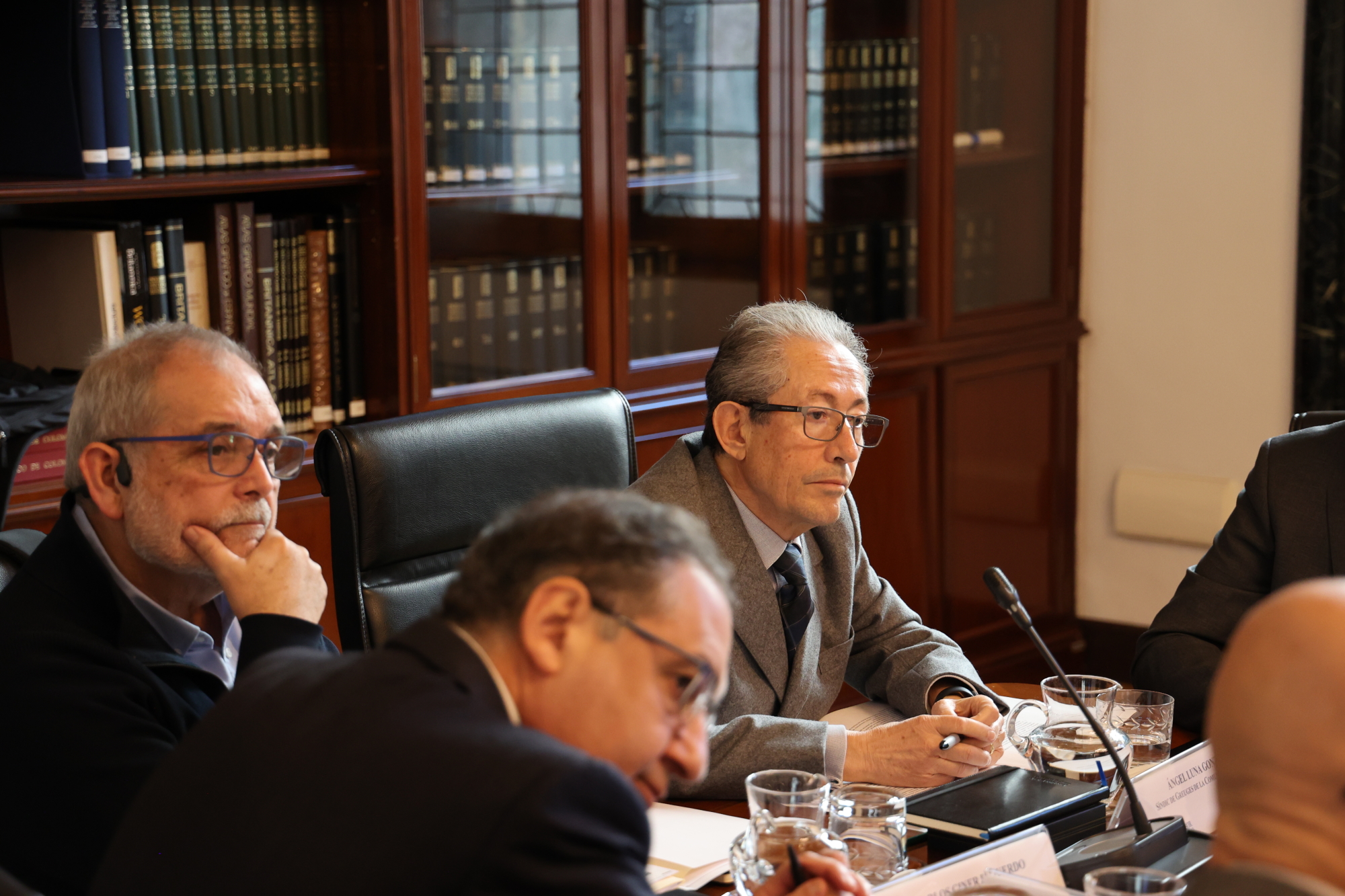 El Defensor del Pueblo, Ángel Gabilondo, se ha reunido en Madrid con los defensores autonómicos para impulsar la colaboración entre instituciones