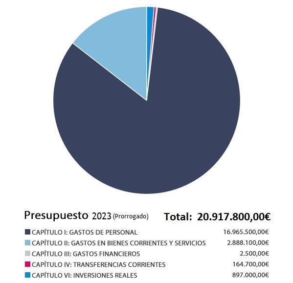 Gráfico de la distribución presupuestaria del gasto por capítulos en tarta