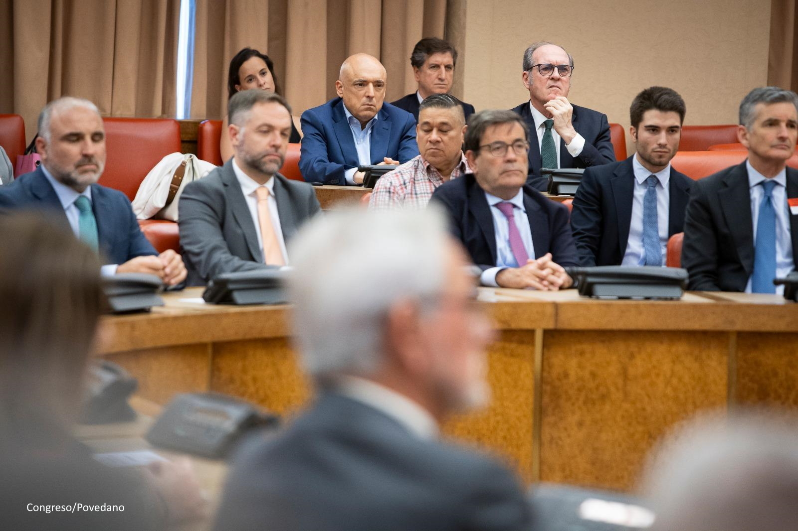 Ángel Gabilondo en el acto en recuerdo y homenaje a las víctimas del terrorismo Organizado por el Congreso de los Diputados