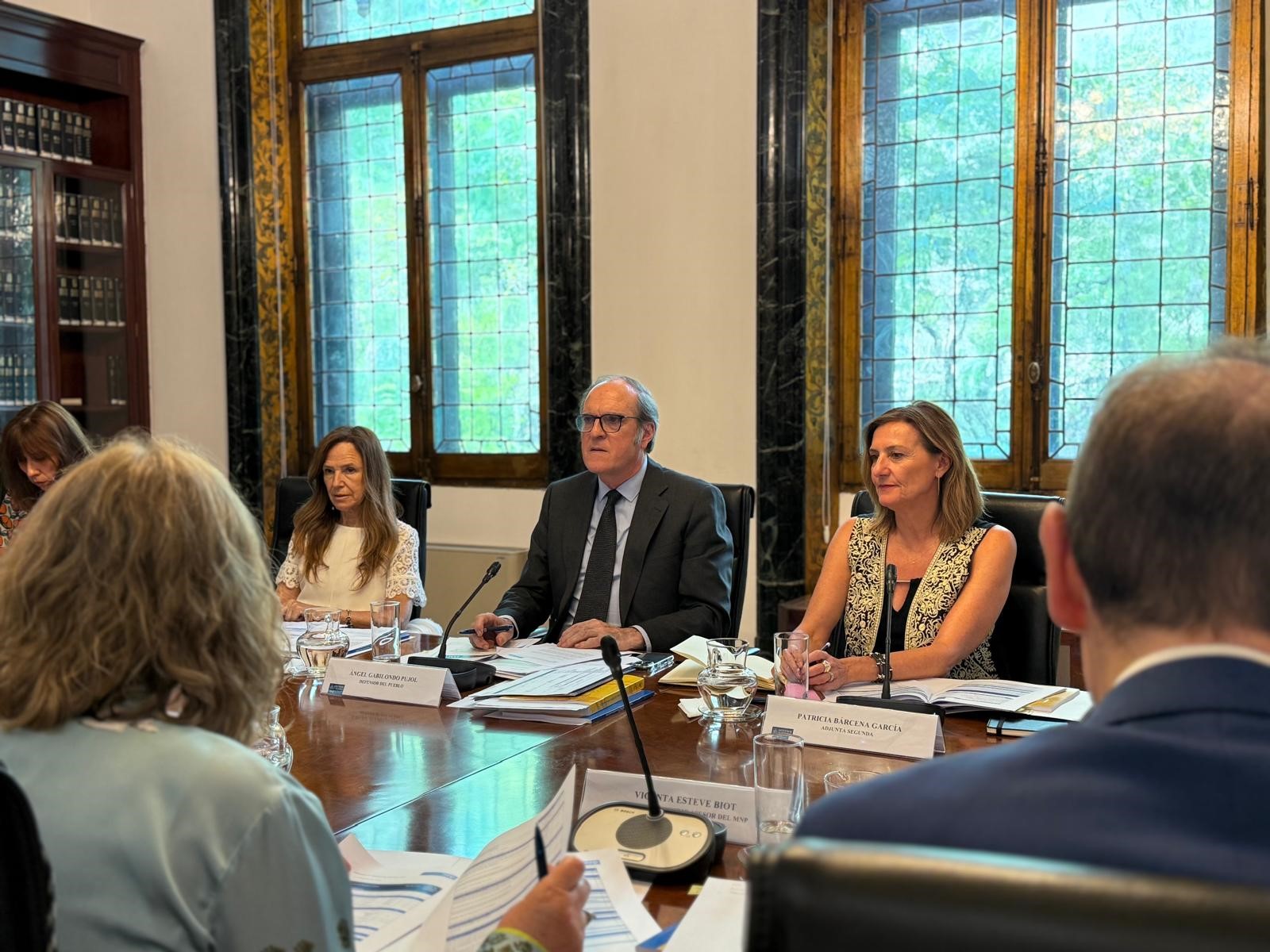 Reunión del Consejo Asesor