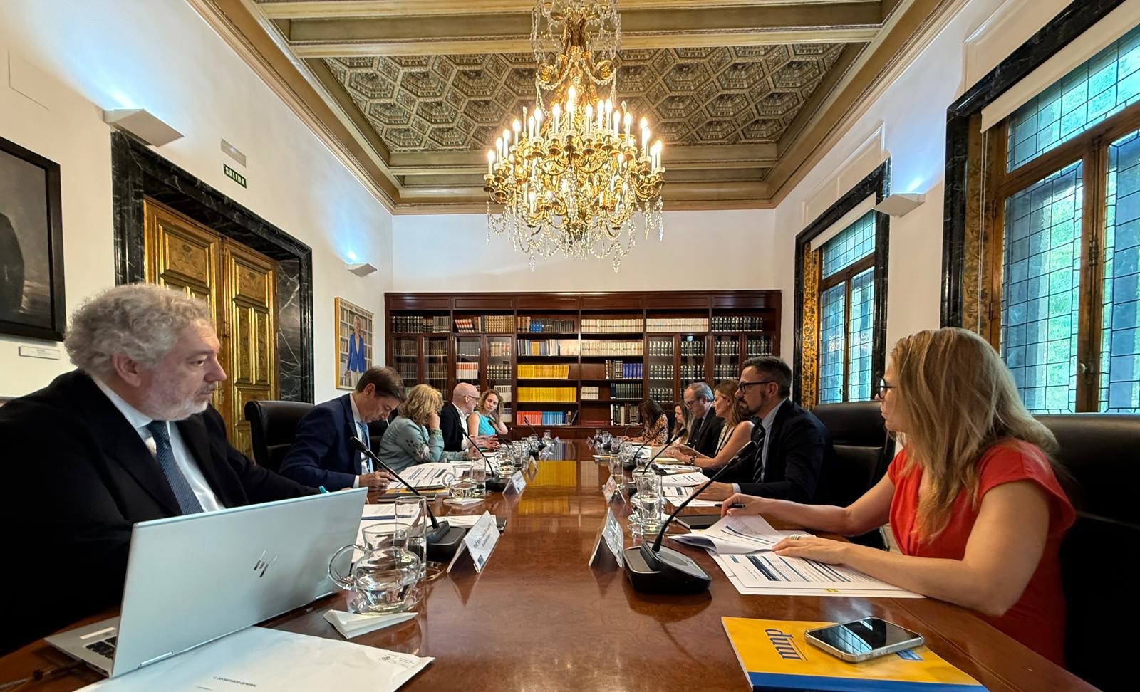 Reunión del Consejo Asesor del MNP