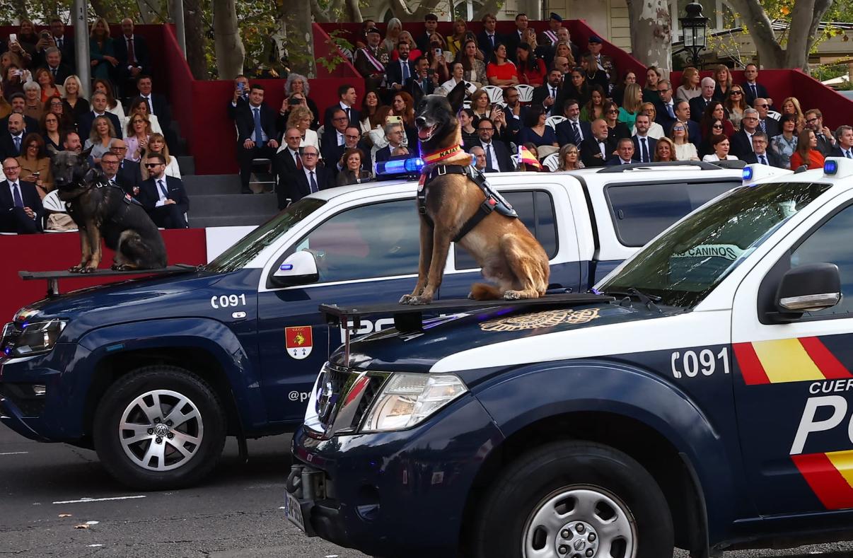 Día de la Fiesta Nacional