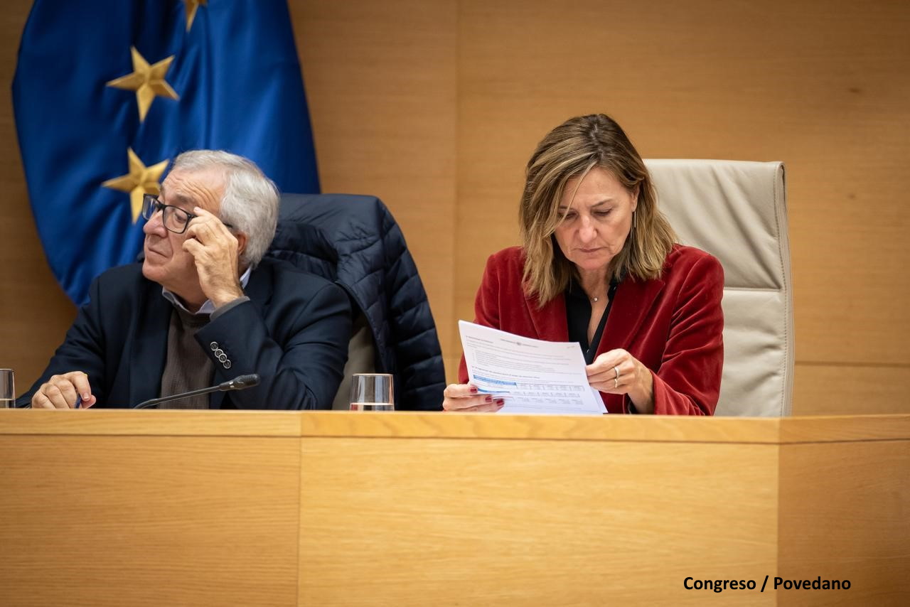 La adjunta segunda del Defensor del Pueblo, Patricia Bárcena, durante la comparecencia del Defensor en la Comisión Mixta