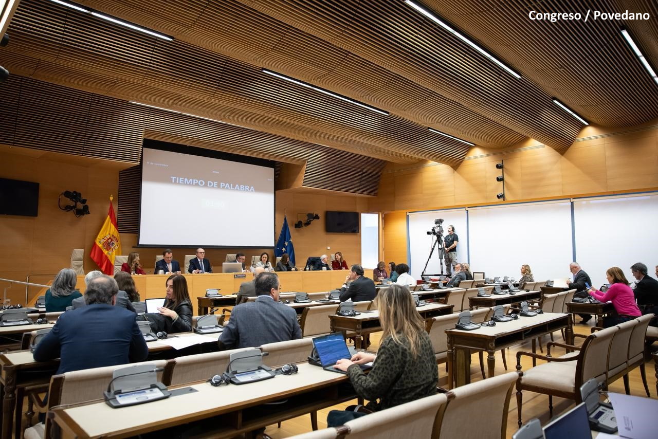 El Defensor del Pueblo, Ángel Gabilondo comparece ante la Comisión Mixta