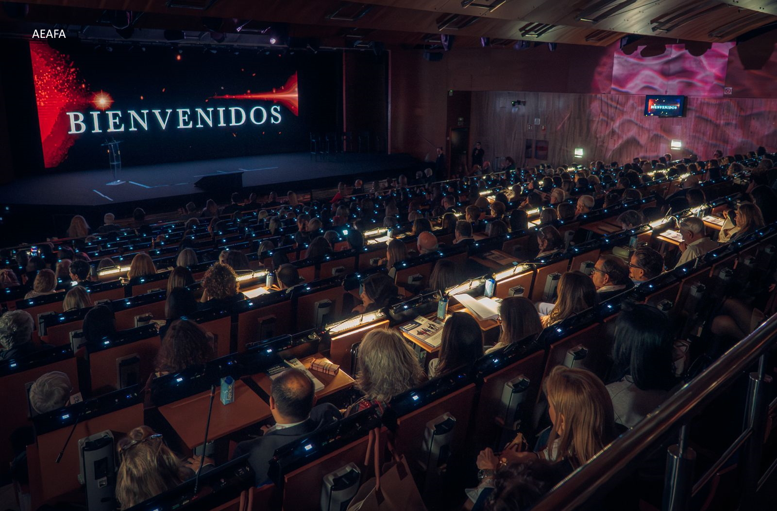 XXXIII JORNADAS AEAFA