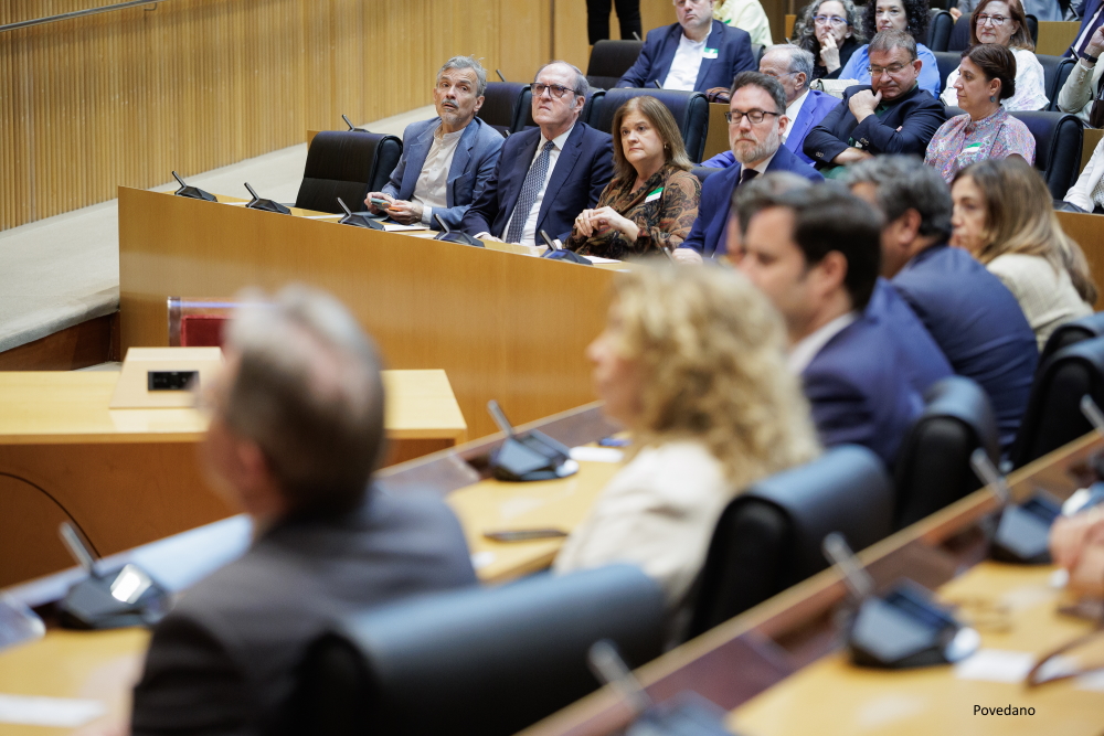 Acto FEREDE