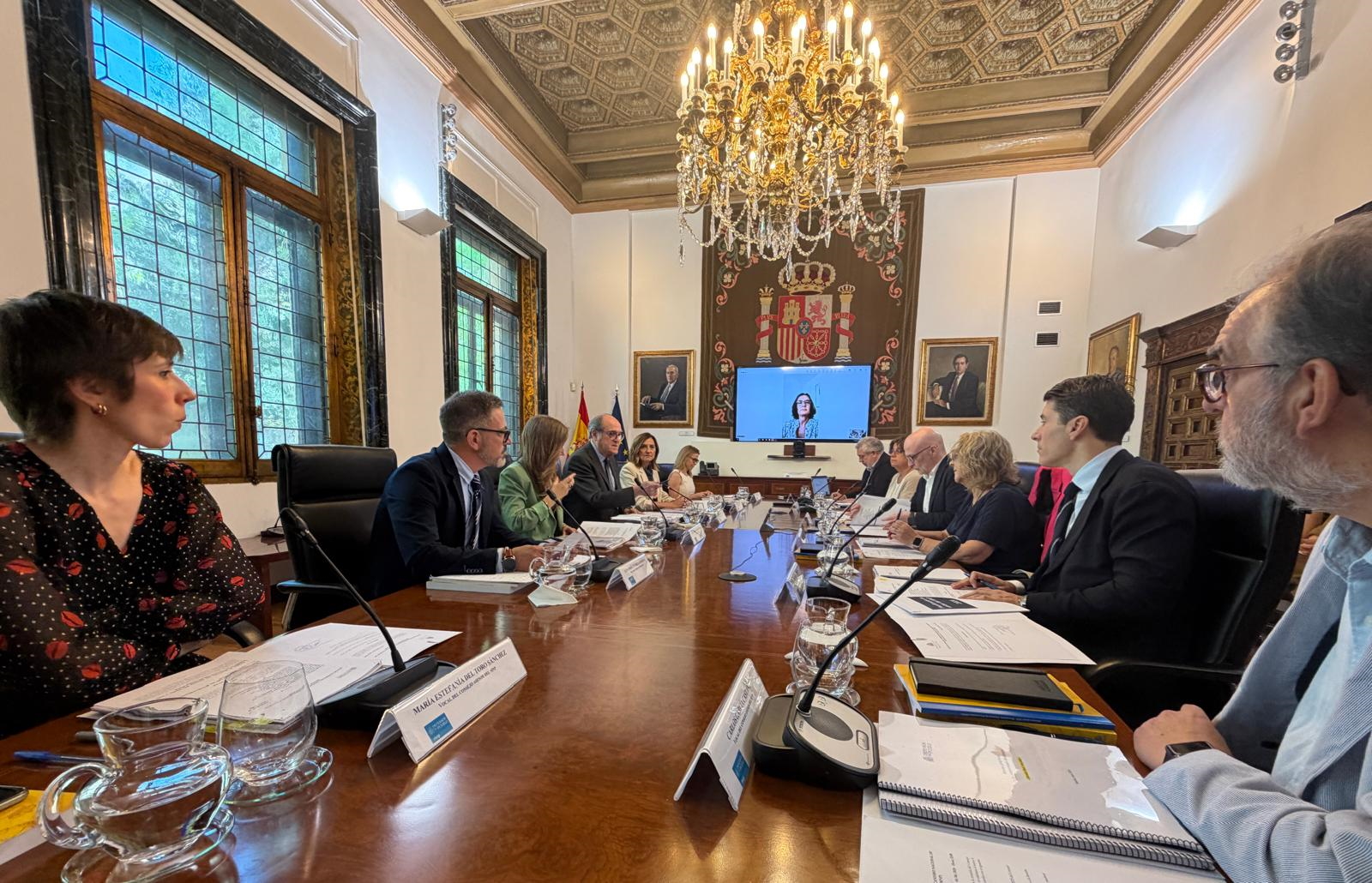 Consejo Asesor MNP